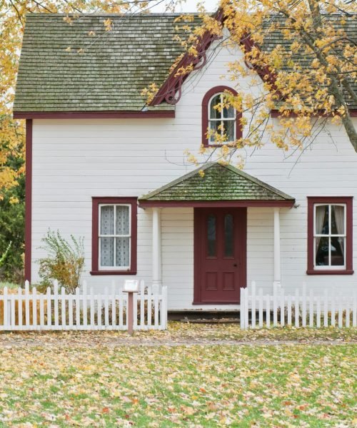 scott-webb-1ddol8rgUH8-unsplash